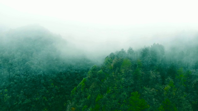 鸟瞰图山与雾视频素材