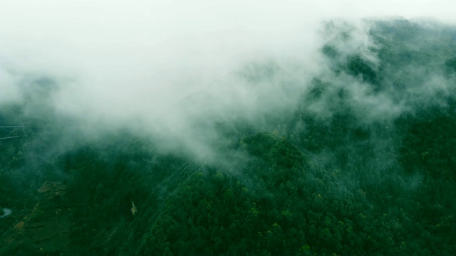 鸟瞰图山上有雾视频素材