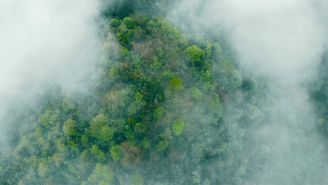 鸟瞰图山上有雾视频素材