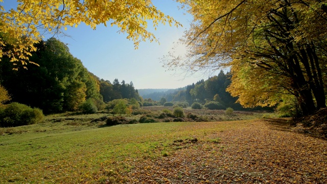 森林山谷与多彩的秋叶，Rothenbuch, Hafenlohrtal, Spessart，巴伐利亚，德国视频素材