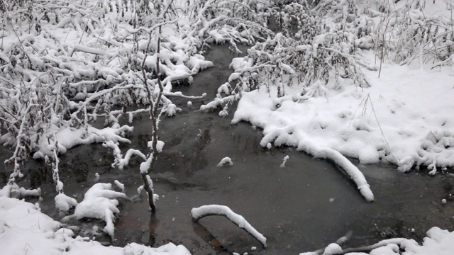 雪落入水中。视频素材