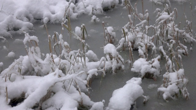 雪落入冰冻的水中。视频素材