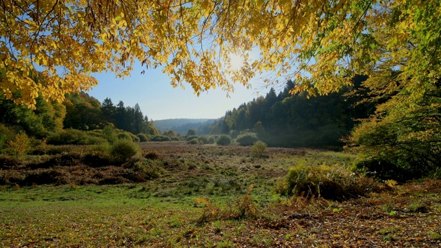 森林山谷与多彩的秋叶，Rothenbuch, Hafenlohrtal, Spessart，巴伐利亚，德国视频素材