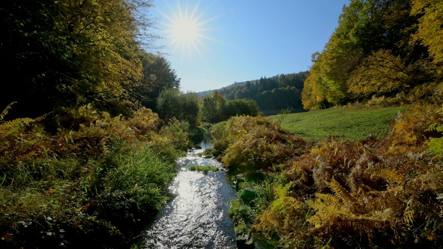 森林山谷与小溪在秋天，Rothenbuch, Hafenlohrtal, Spessart, Bavaria，德国视频素材