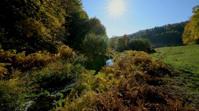 森林山谷与小溪在秋天，Rothenbuch, Hafenlohrtal, Spessart, Bavaria，德国视频素材