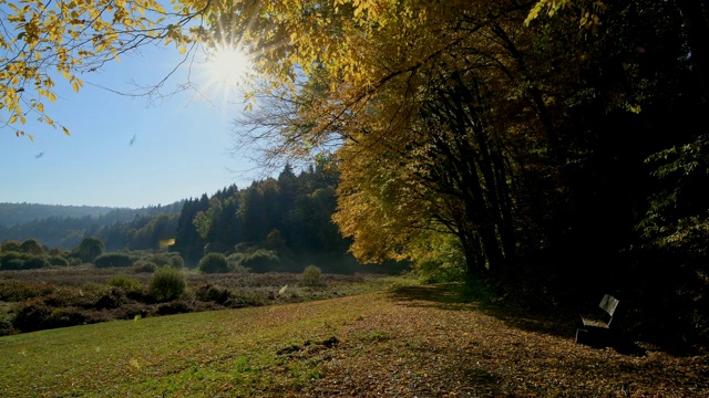 森林山谷与多彩的秋叶，Rothenbuch, Hafenlohrtal, Spessart，巴伐利亚，德国视频素材