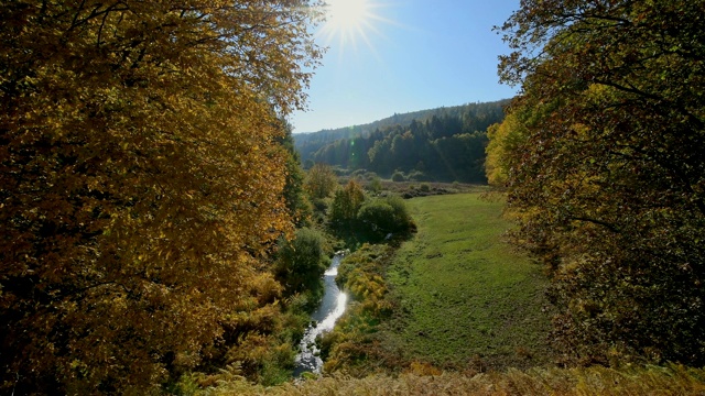 森林山谷与小溪在秋天，Rothenbuch, Hafenlohrtal, Spessart, Bavaria，德国视频素材