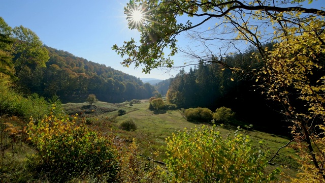 森林山谷与五彩缤纷的秋叶，Rothenbuch, Spessart，德国巴伐利亚视频素材