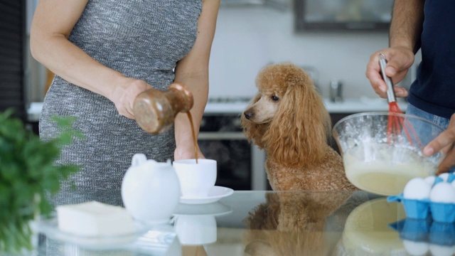 Cinemagraph -夫妇在厨房一起做饭。视频素材