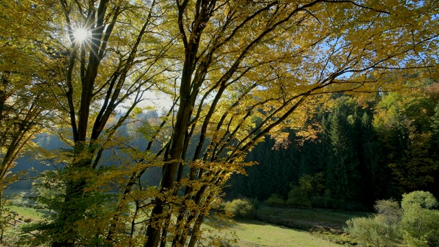 森林山谷与五彩缤纷的秋叶，Rothenbuch, Spessart，德国巴伐利亚视频素材