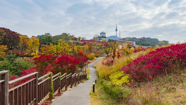 韩国首尔的秋天。时间流逝视频素材