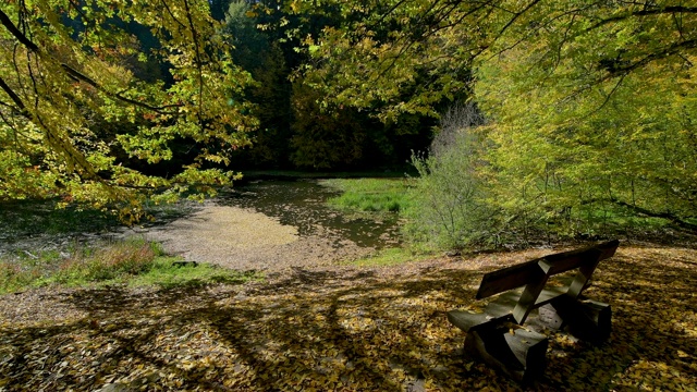 德国巴伐利亚州Spessart, Rothenbuch, Hafenlohrtal, Rothenbuch的池塘，五彩缤纷的秋叶视频素材