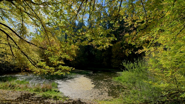 德国巴伐利亚州Spessart, Rothenbuch, Hafenlohrtal, Rothenbuch的池塘，五彩缤纷的秋叶视频素材