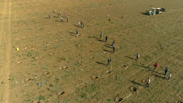 人们排成一行在空中植树视频素材