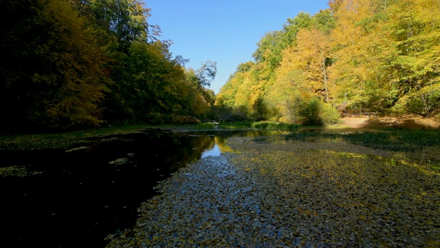 德国巴伐利亚州Spessart, Rothenbuch, Hafenlohrtal, Rothenbuch的池塘，五彩缤纷的秋叶视频素材