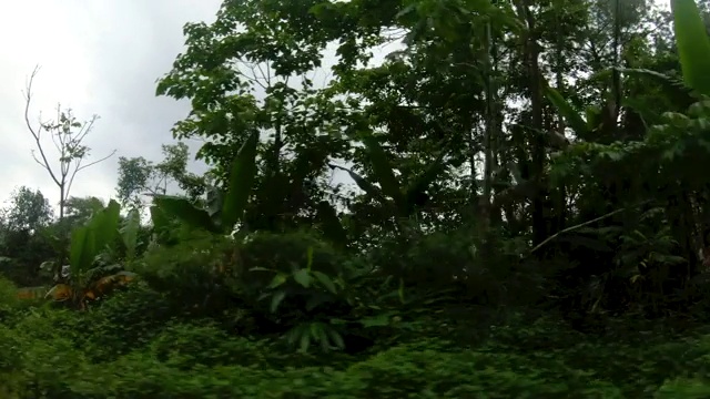 开车时从车窗外看雨后路边的山景。公路旅行度假视频素材