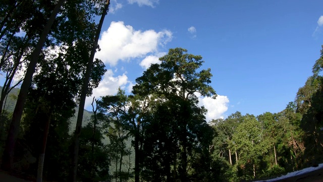 开车时可欣赏路边的自然树景和山景。公路旅行度假。视频素材