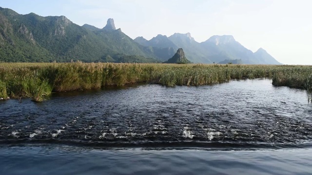 溪水流淌，石灰石山上的湿地上长满了绿色植物视频素材