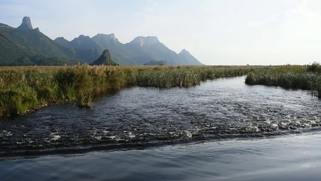 溪水流淌，石灰石山上的湿地上长满了绿色植物视频素材