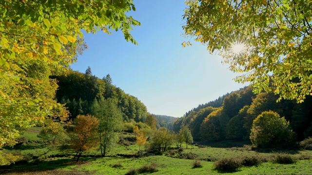 森林山谷与色彩斑斓的秋叶和阳光，dambach, Spessart，德国巴伐利亚视频素材