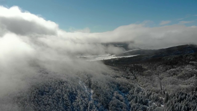 在白雪覆盖的薄雾山林上空飞翔。视频素材