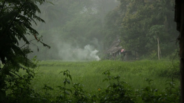 在泰国北部，一个小营火在雨季被热带风暴熄灭的手持镜头视频素材