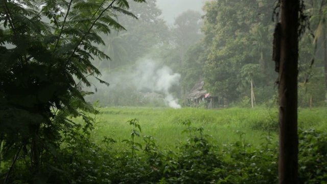 在泰国北部，一个小营火在雨季被热带风暴熄灭的手持镜头视频素材