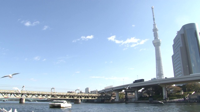 东京天空树，蓝天和鸟儿视频下载