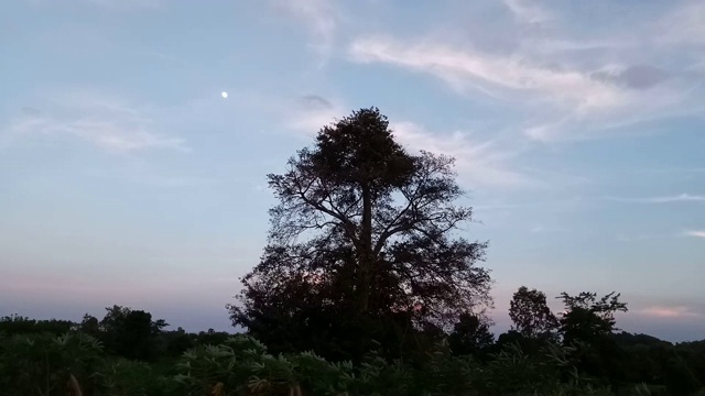 日落日出天空与山和树视频素材