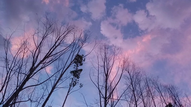 日落日出天空与山和树视频素材