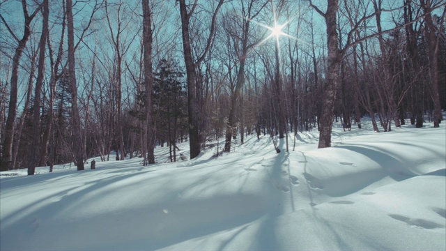 冰雪覆盖的冬季森林和人类脚印的滑动视图视频下载