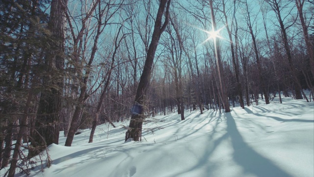 冰雪覆盖的冬季森林和人类脚印的滑动视图视频素材