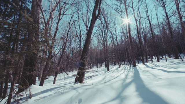 慢动作滑动的雪景冬季森林和人类脚印。阳光灿烂的日子视频下载