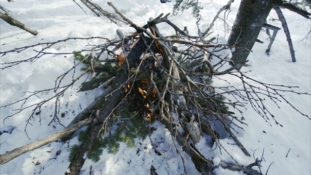 放大在白色的雪地上燃烧的树枝视频下载