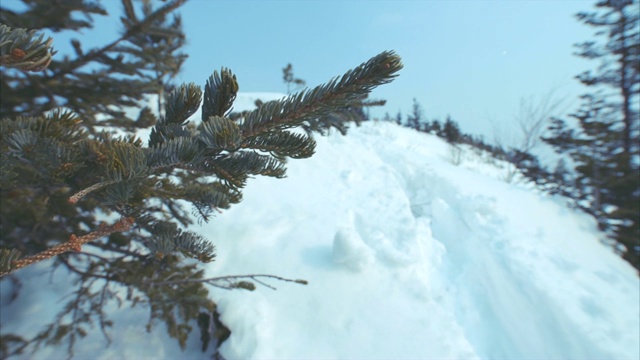 白雪覆盖的山顶和美丽的冷杉树枝在前景。冬天视频下载