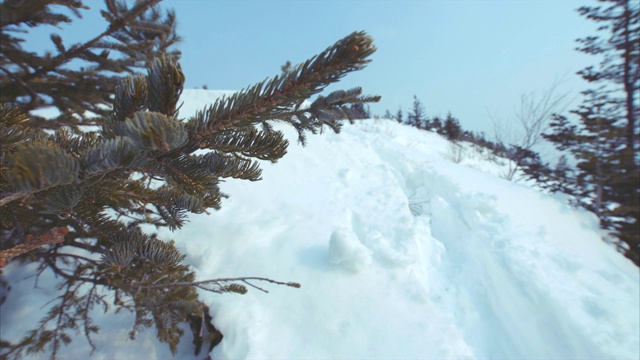 白雪皑皑的山顶上留下了人们在深雪和冷杉树枝下留下的小路视频素材