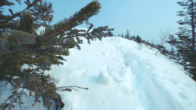 白雪皑皑的山顶上留下了人们在深雪和冷杉树枝下留下的小路视频下载