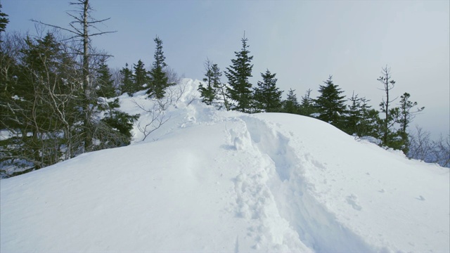 人们在深雪中留下的小路。背景上的针叶林视频下载