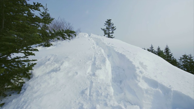 人们在深雪中留下的小路。枞树在左边。俄罗斯视频下载