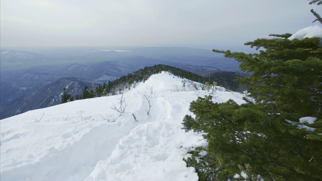 从雪山和冷杉山顶上滑下雾气缭绕的高原美景视频素材