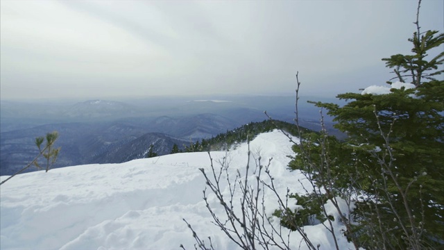 从雪山和冷杉山顶上滑下雾气缭绕的高原美景视频素材