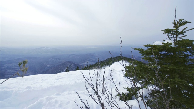 从雪山和冷杉山顶上滑下雾气缭绕的高原美景视频下载