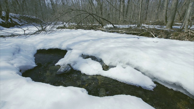 滑观小透明的小溪流动在雪林。俄罗斯视频下载