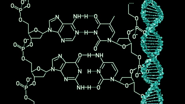 DNA分子结构。三维渲染视频素材