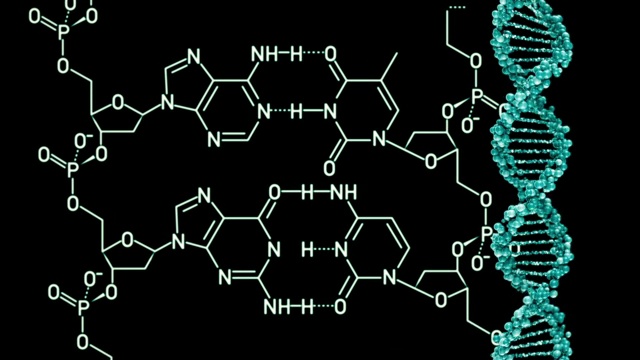 DNA分子结构。三维渲染视频素材