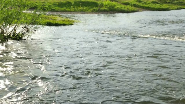 夏季河水湍急视频素材