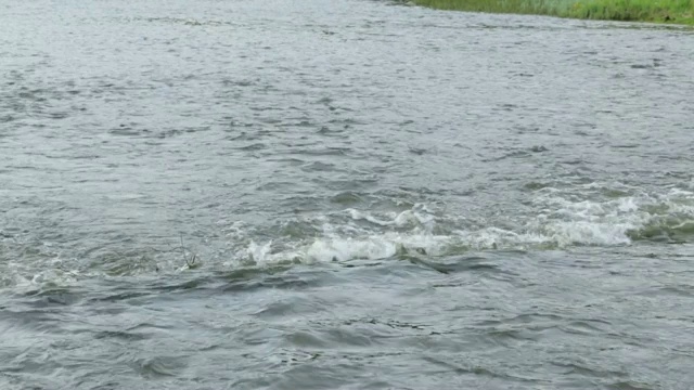 夏季河水湍急视频素材