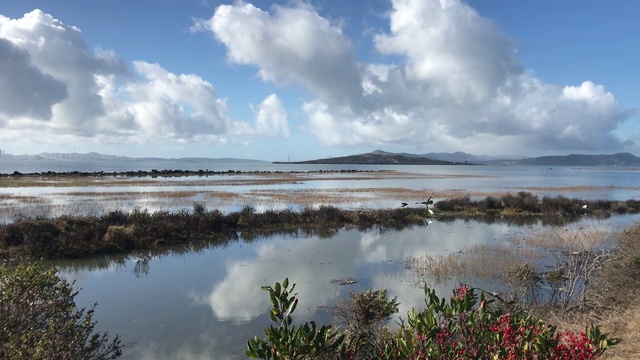 水景旧金山湾视频素材