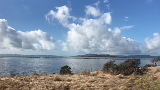 水景旧金山湾视频素材