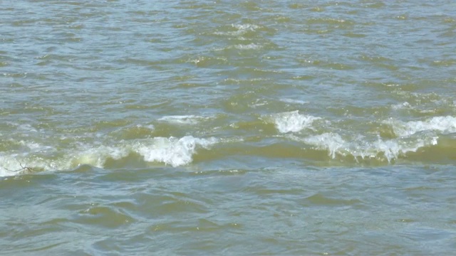 夏季河水湍急视频素材